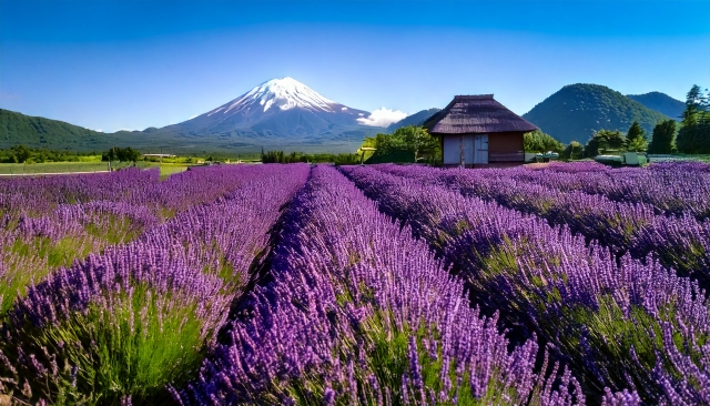 「記事用画像リスト」項目の1番目の画像は、ブログ記事一覧リストのサムネール画像（記事へのリンク元で表示されるサムネール画像）になります。