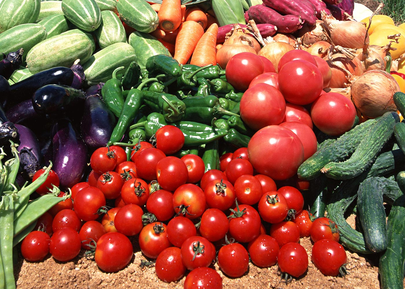 ナチュラルハウス エッセンス M 30ml 6本セット ナチュラルハウス エッセンス M 30ml 6本セット